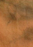 INTERFIT Фон светло-коричневый Light Brown Background 2.7 x 7m INT245