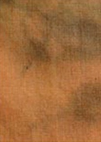 INTERFIT Фон светло-коричневый Light Brown Background 2.7 x 7m INT245 Фон тканевый светло-коричневый 2,7 x7м